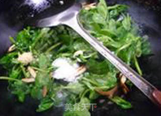 豆苗炒香干的做法步骤：8