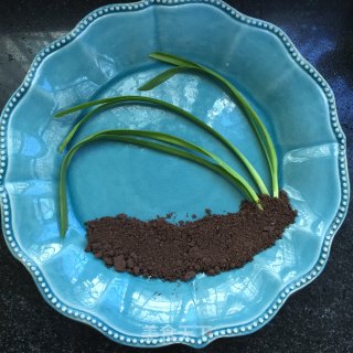 摇曳生姿的做法步骤：4