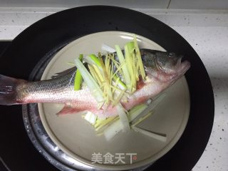 清蒸鲈鱼的做法步骤：3