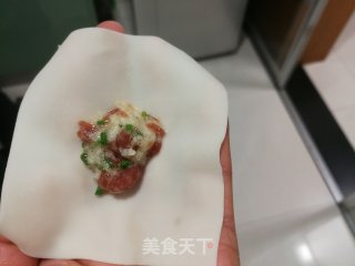 肉末山药小馄饨的做法步骤：5