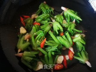小米椒炒菠菜根的做法步骤：7