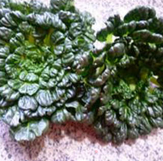 鲜蘑菇炒塔苦菜的做法步骤：1