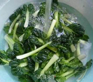 鲜蘑菇炒塔苦菜的做法步骤：3