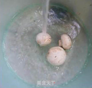 鲜蘑菇炒塔苦菜的做法步骤：4