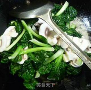 鲜蘑菇炒塔苦菜的做法步骤：6
