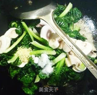 鲜蘑菇炒塔苦菜的做法步骤：7