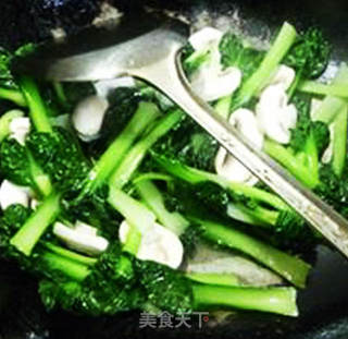 鲜蘑菇炒塔苦菜的做法步骤：8