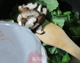 香菇炒油菜蕻的做法步骤：4