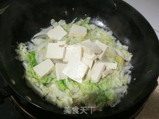 白菜炖豆腐的做法步骤：5