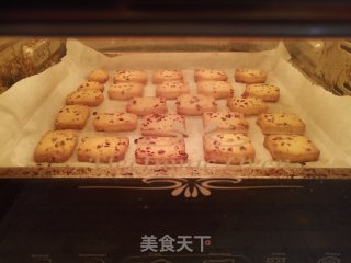 蔓越莓饼干的做法步骤：12