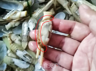 芦笋蛏子的做法步骤：2