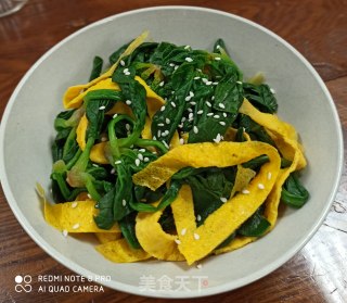 蛋皮拌菠菜的做法步骤：7