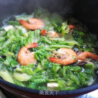 鲜虾白菜豆腐汤的做法步骤：9