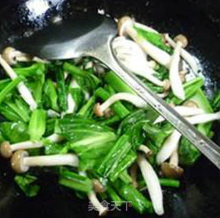 油菜蕻炒蟹味菇的做法步骤：7
