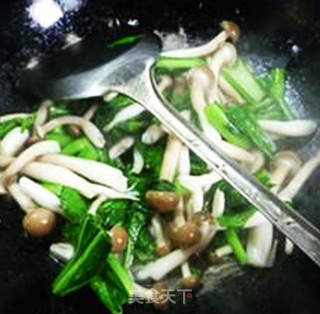 油菜蕻炒蟹味菇的做法步骤：9