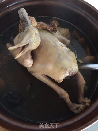 冬日暖汤之老鸽双菌汤的做法步骤：7