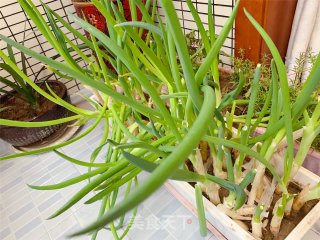 家常快手小葱炒鸡蛋的做法步骤：1