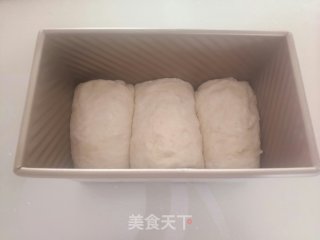 全麦吐司的做法步骤：15