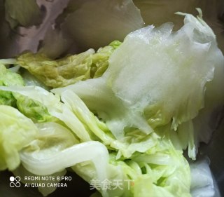 白菜酿肉的做法步骤：2