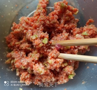白菜酿肉的做法步骤：3