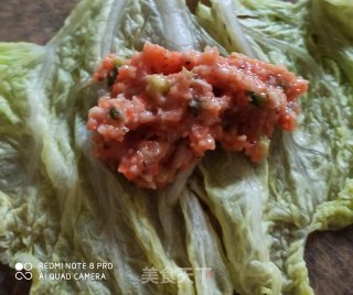白菜酿肉的做法步骤：5
