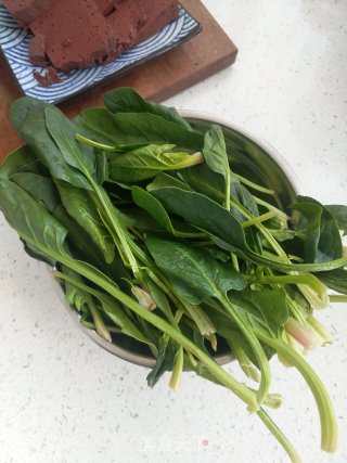 菠菜炒猪血的做法步骤：2