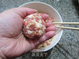 样子特难看的狮子头的做法步骤：17