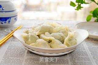 刺五加叶馅水饺的做法步骤：9