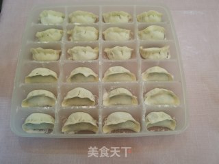 传统猪肉韭菜水饺的做法步骤：18