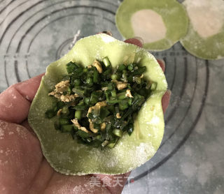 韭菜鸡蛋粉条双色水饺的做法步骤：9
