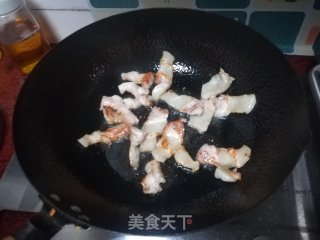 白菜炖冻豆腐的做法步骤：6