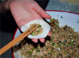 莲藕猪肉馅饺子的做法步骤：10
