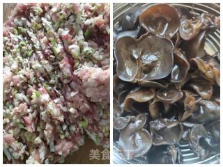 彭豆带你做白菜猪肉馅饺子（内附煎饺做法）的做法步骤：4
