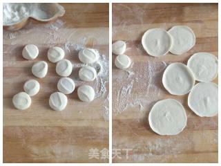 彭豆带你做白菜猪肉馅饺子（内附煎饺做法）的做法步骤：10