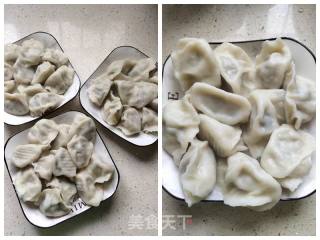 彭豆带你做白菜猪肉馅饺子（内附煎饺做法）的做法步骤：14
