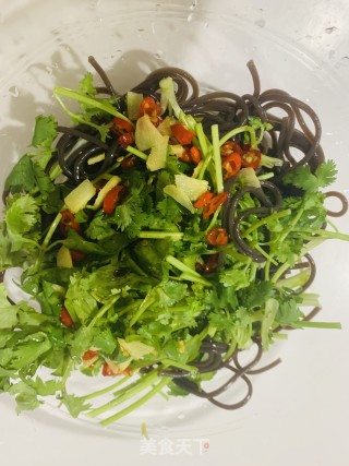 凉拌香菜蕨根粉的做法步骤：6