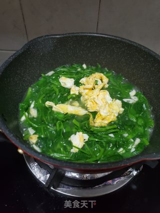 豆苗鸡蛋汤的做法步骤：11