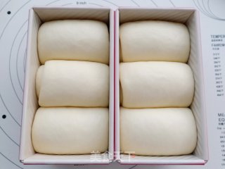 小米吐司的做法步骤：15