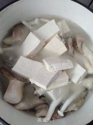 菌菇豆腐汤的做法步骤：4