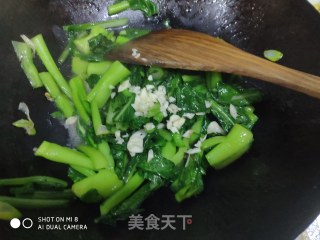 蚝油菜心的做法步骤：9