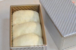 玉米油吐司的做法步骤：8