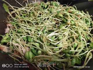 培根炒黑豆芽的做法步骤：5