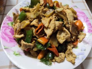 青椒肉片的做法步骤：9