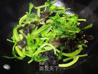 芹菜肉丝的做法步骤：6
