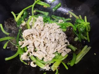 芹菜肉丝的做法步骤：7