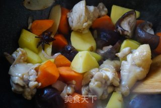 杂炖鸡翅根的做法步骤：4