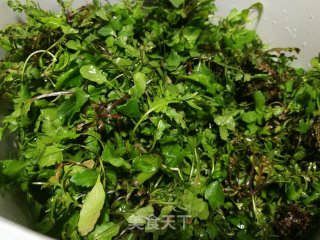 荠菜蘑菇鲜肉饺的做法步骤：2