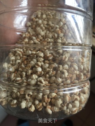 双菌薏米炖鹧鸪的做法步骤：2