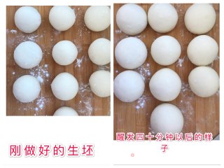 蒸馒头的做法步骤：4