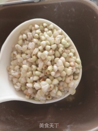 麦麦面包（荞麦，全麦）的做法步骤：2